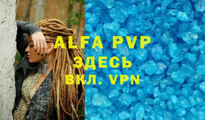 Alfa_PVP СК  Плёс 
