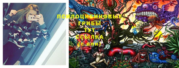 соль ск Переславль-Залесский