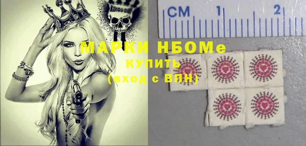 индика Аша