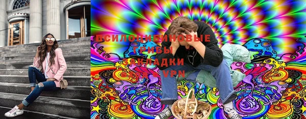соль ск Переславль-Залесский