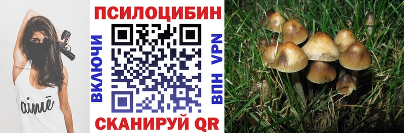 Галлюциногенные грибы Psilocybe Плёс